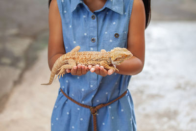 Midsection of girl holding lizard