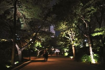 People walking on road amidst trees at night