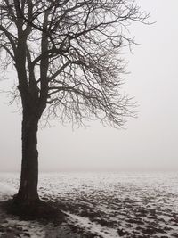 Scenic view of sea against clear sky during winter