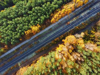 High angle view of railroad tracks amidst trees on field