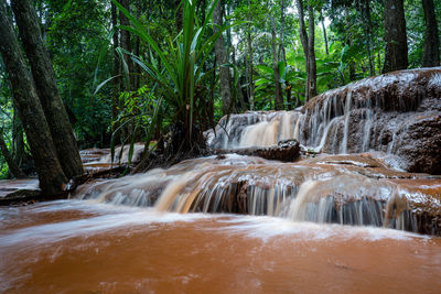 Stream flowing through rocks in forest