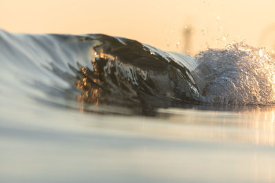 Close-up of water