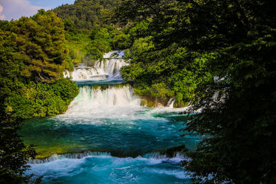 Scenic view of waterfall in forest