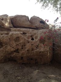 Low angle view of rock formation against sky