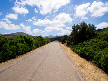 Empty road amidst trees against sky