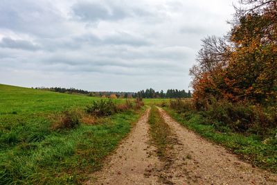 Dirt road amidst plants and trees against sky