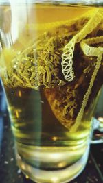 Close-up of beer in glass