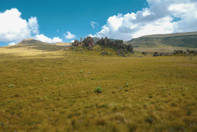 High altitude moorland against rock formations at mount satima dragons teeth in the aberdares, kenya