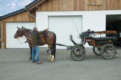 Horse cart in stable