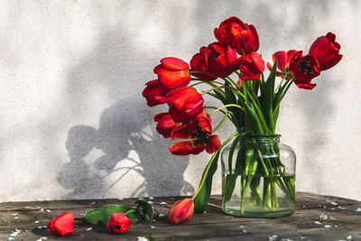 Close-up of red tulips in glass vase on table