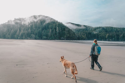 Woman with dog walking at beach against sky