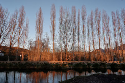 Scenic view of lake against clear sky