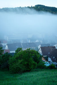 Cloud fog mist in a valley with houses vertical format