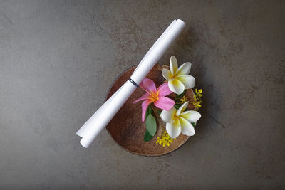 High angle view of white flower on table