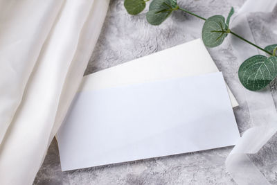 Congratulatory blank and an envelope with a branch of eucalyptus on light table