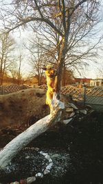 Portrait of young woman with cat on tree