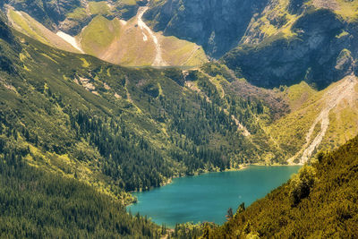 High angle view of river amidst trees against sky