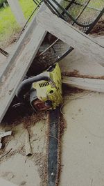 High angle view of an animal on the road