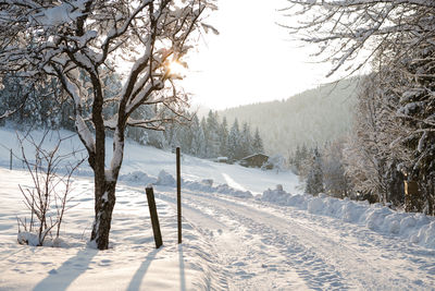 Bare trees on snow covered field against sky