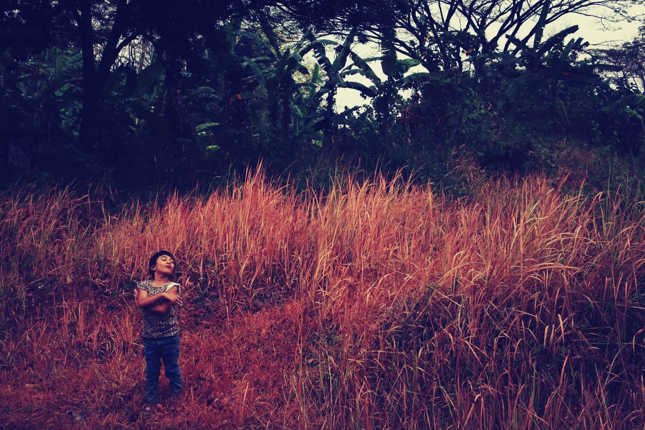 lifestyles, leisure activity, full length, childhood, field, grass, standing, casual clothing, elementary age, person, tree, boys, girls, three quarter length, growth, plant, nature, young adult