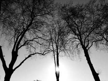 Low angle view of bare trees against clear sky