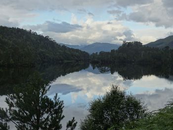 Scenic view of lake by trees against sky