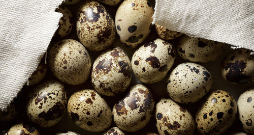 Quail eggs on a white tablecloth.