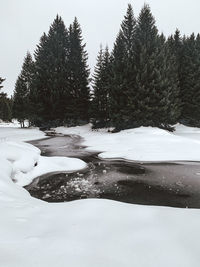 Snow covered land and trees against sky