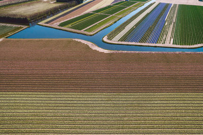 Full frame shot of agricultural field