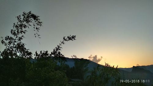 Scenic view of silhouette trees against sky during sunset