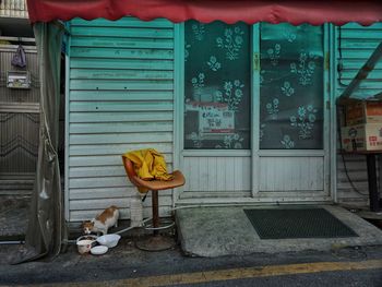 Dog relaxing on seat against building