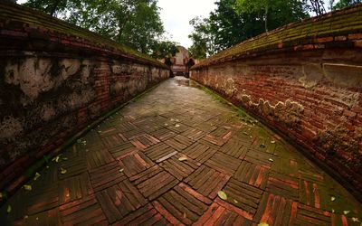 Walkway amidst trees against sky