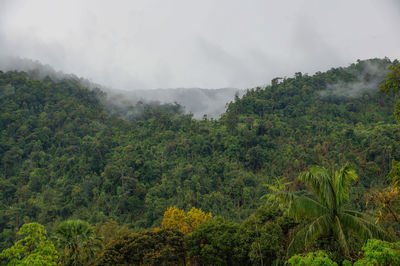 Scenic view of trees and mountains against sky