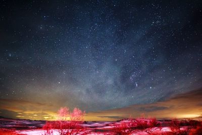 Scenic view of landscape against star field during winter