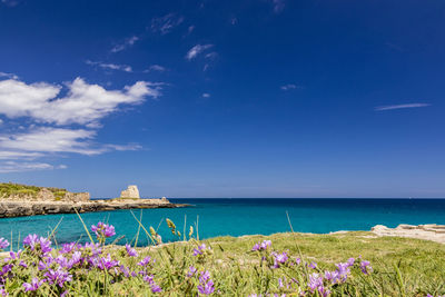 Scenic view of sea against blue sky