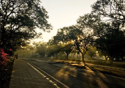 Road by trees against clear sky