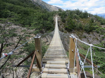 Footbridge amidst trees in forest against sky