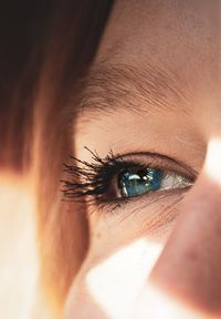 Close-up of woman eye