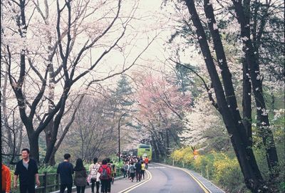 People on street amidst bare trees against sky