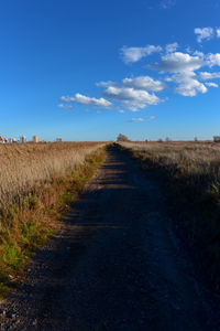 Dirt road amidst field against blue sky