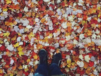 Low section of person standing on autumn leaves