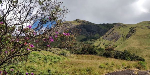 Scenic view of mountains against sky