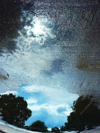 Reflection of trees in water