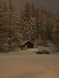 House on snow covered land and trees during winter