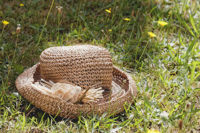Close-up of snake on field