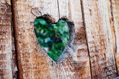 Spider web on wooden heart shape fence