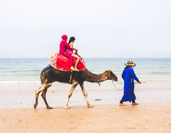 Man riding horse on beach