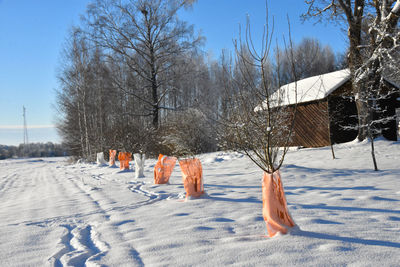 winter