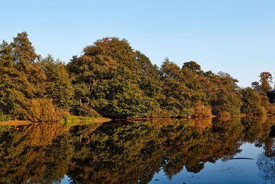 Reflection of trees in lake against sky