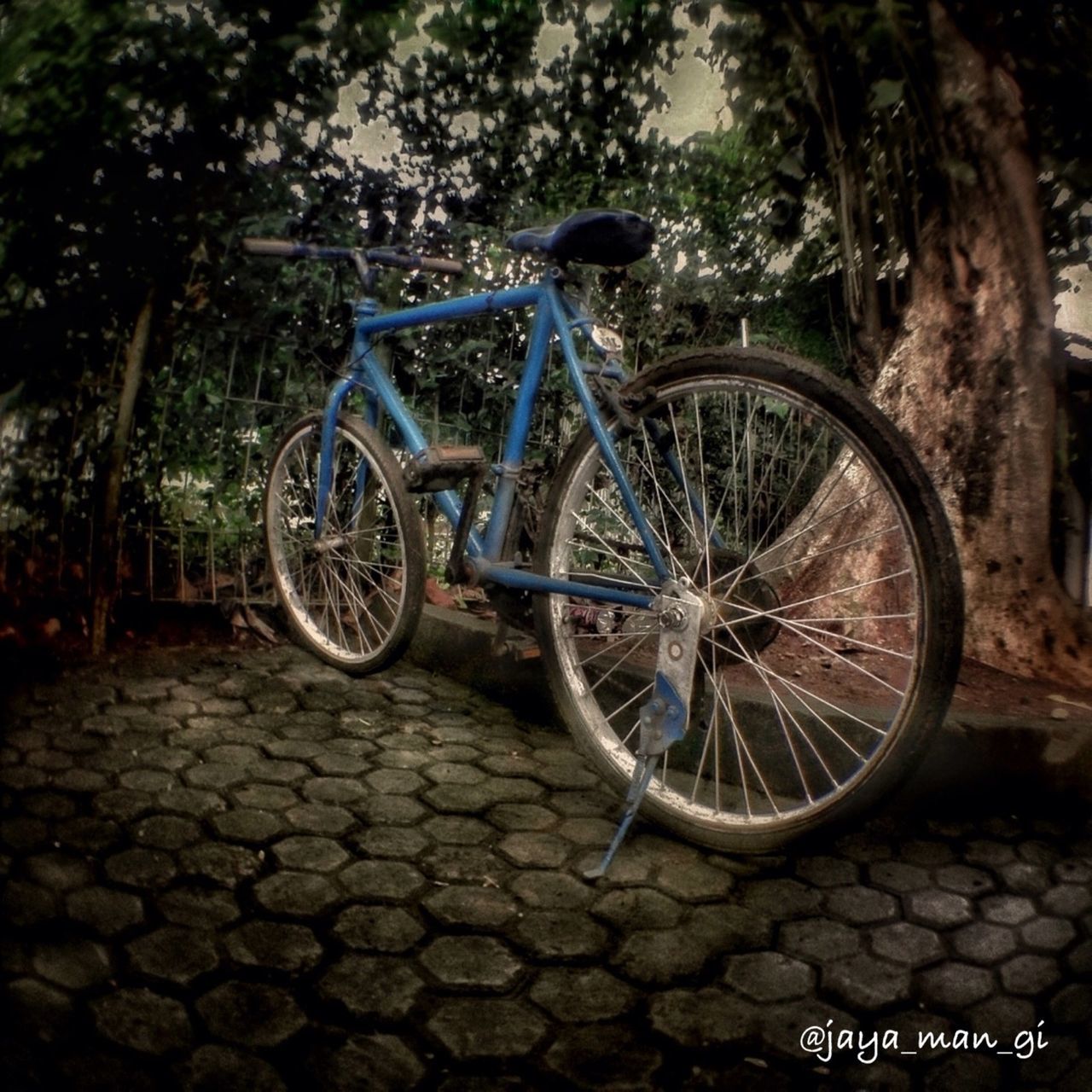 bicycle, transportation, land vehicle, mode of transport, stationary, wheel, parked, parking, tree, outdoors, day, no people, street, cobblestone, cycle, stone wall, leaning, wall - building feature, plant, travel